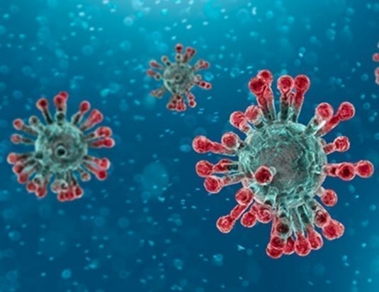 ecdc coronavirus