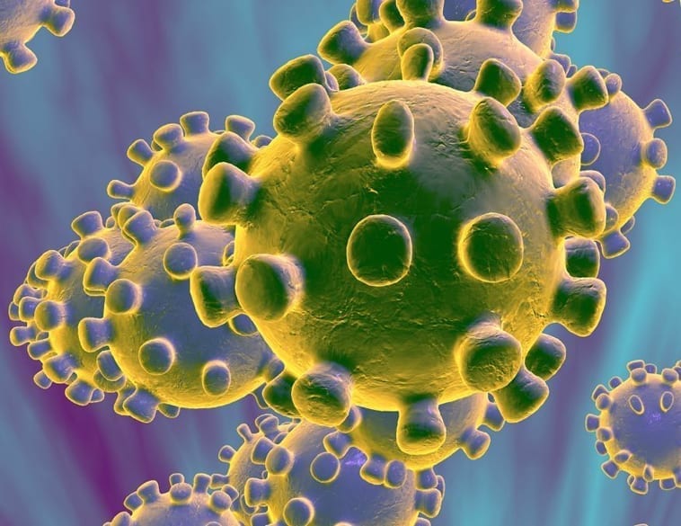 cnn coronavirus