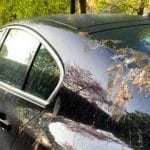 peinture ; défection ; oiseaux ; carrosserie