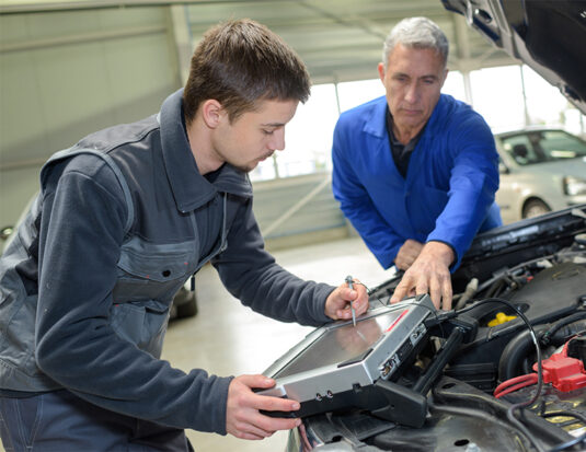 ianstraining techinic